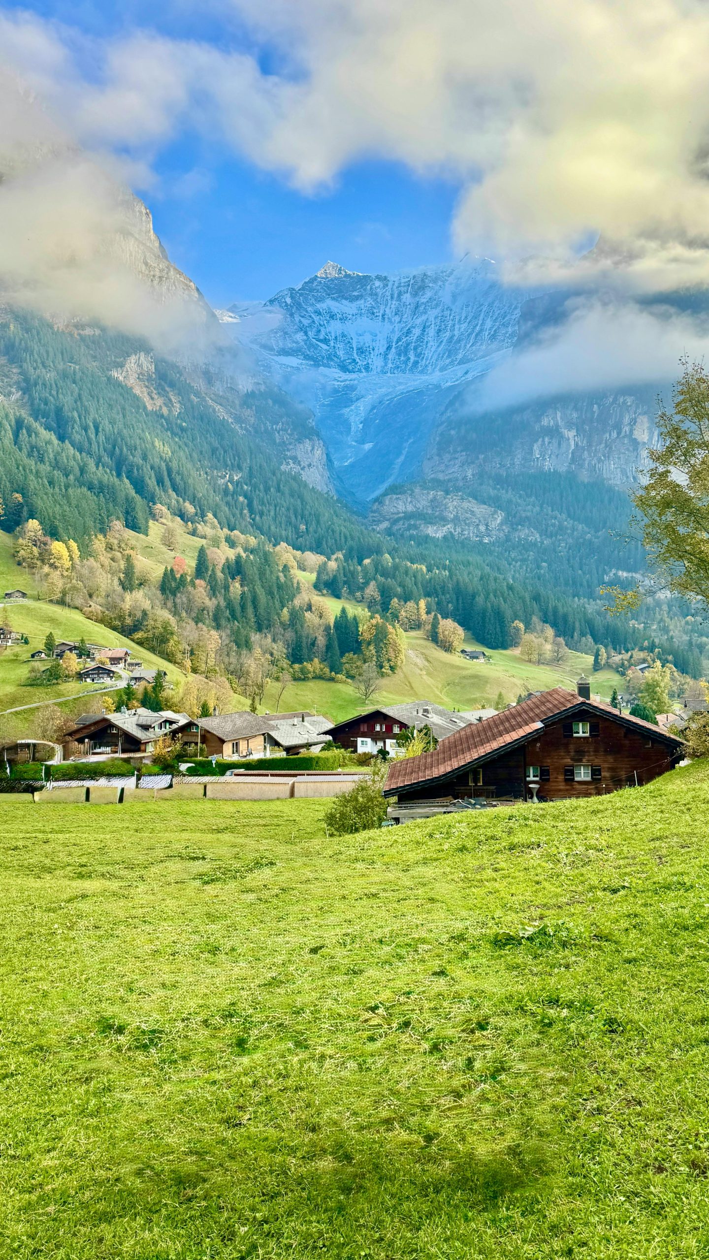 Beautiful view of Grindelwald village surrounded by lush greenery and majestic Alps.